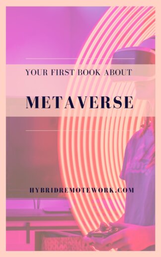 Metaverse - the first book